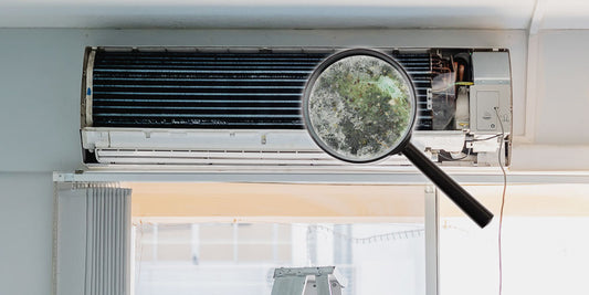 Top 4 Signs to Detect if Mold and Mildew Are Hiding in Your Mini-Split System